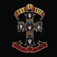 Appetite For Destruction